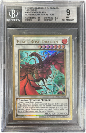 Black Rose Dragon Beckett 9